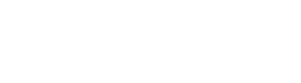 Insight Recruitment Logo transparent